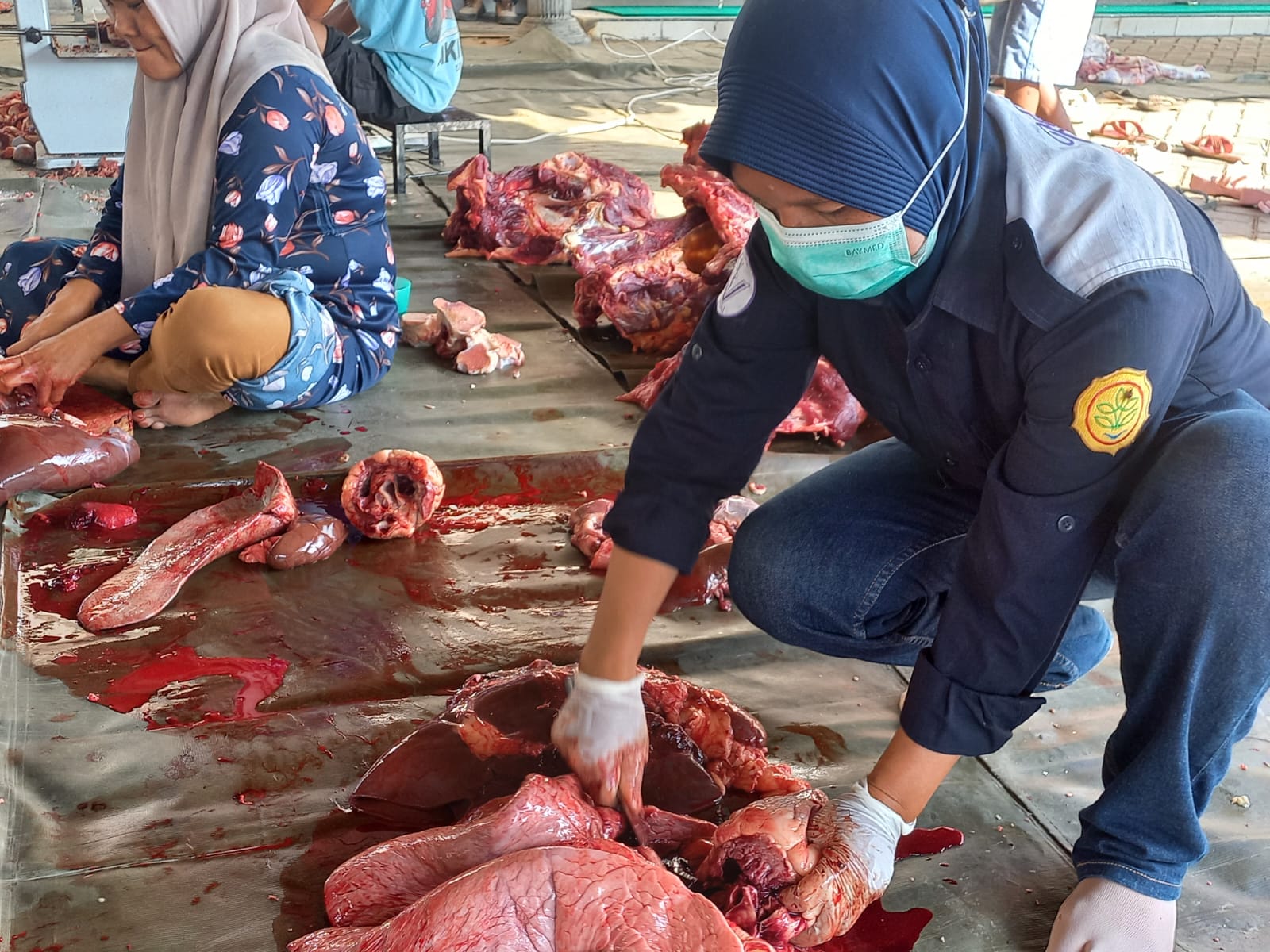 10 EKOR SAPI DAN 5 EKOR KAMBING UNTUK MENJALIN TALI SILATURAHMI DI MASJID AL AMIN WERI LARANTUKA.